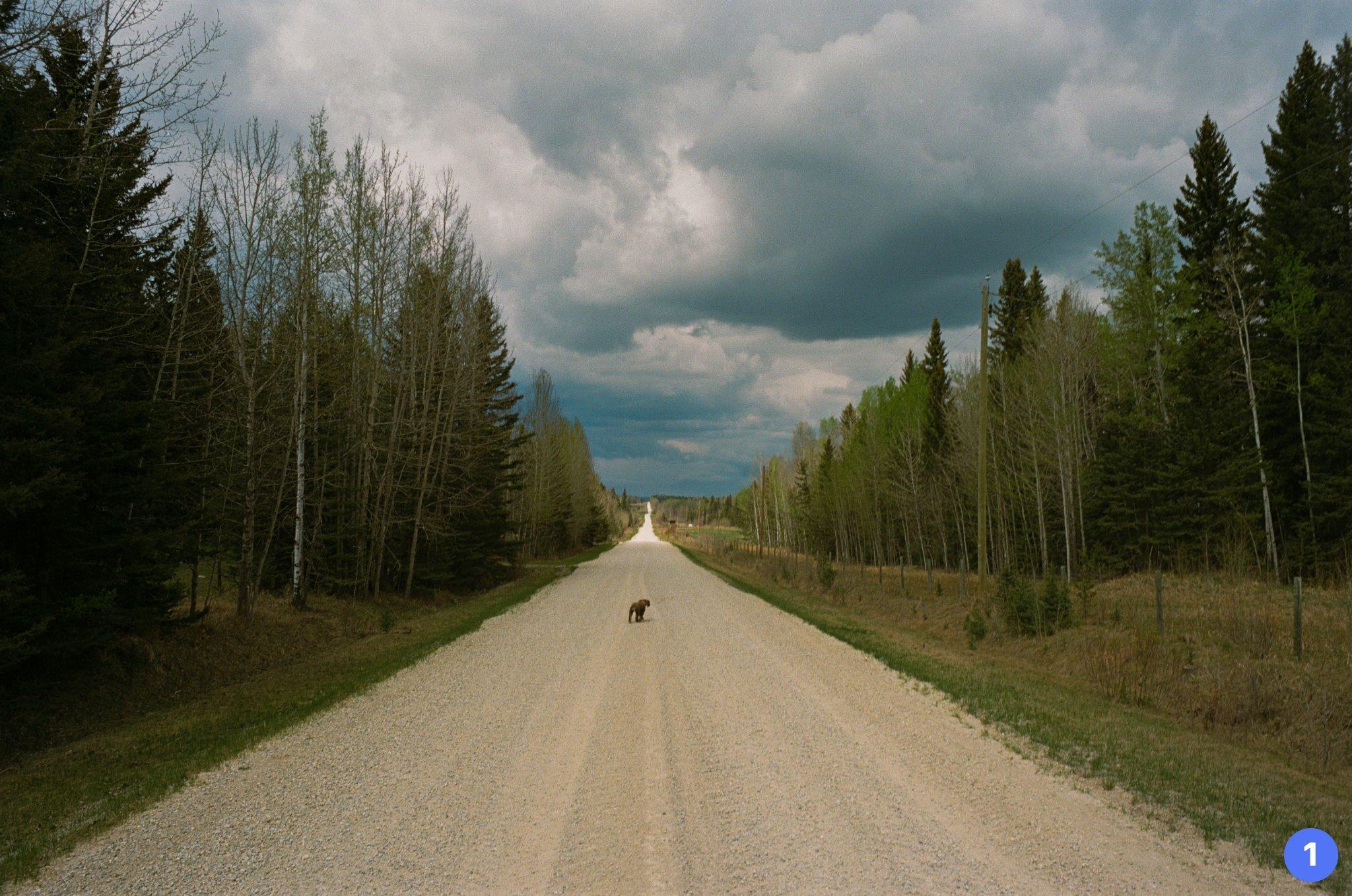 Photo by Pieter van Staalduinen